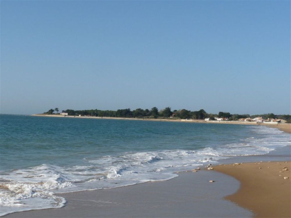 Photo 12 - Saint-Vincent-sur-Jard 85520 à Saint-Vincent-sur-Jard