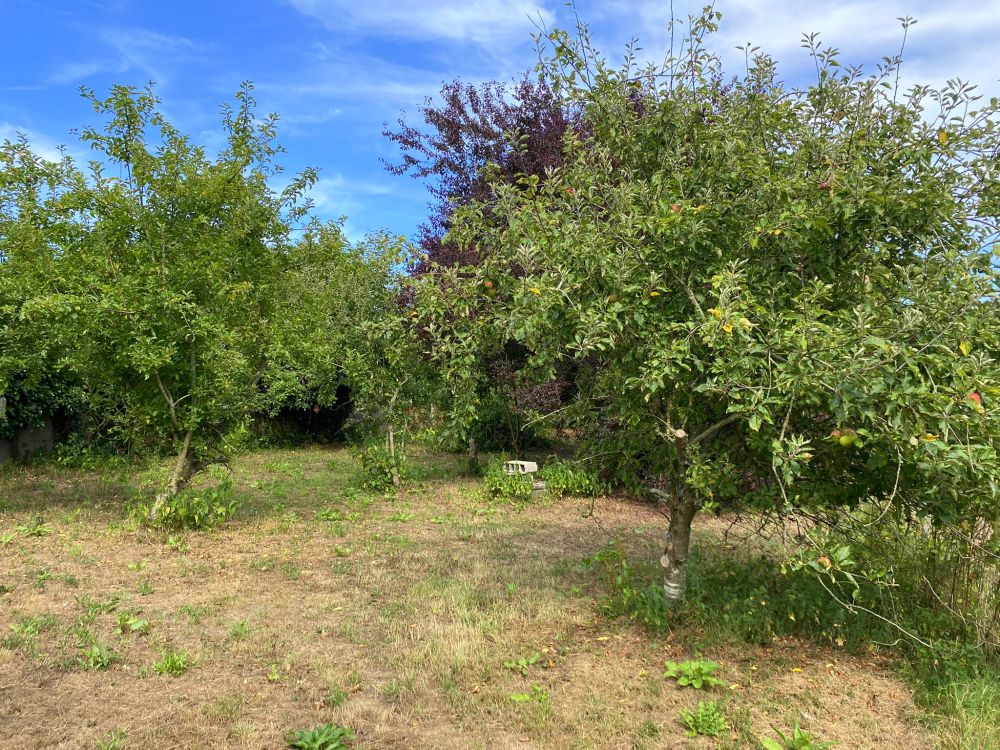 Photo 39 - Ploumilliau 22300 à Ploumilliau