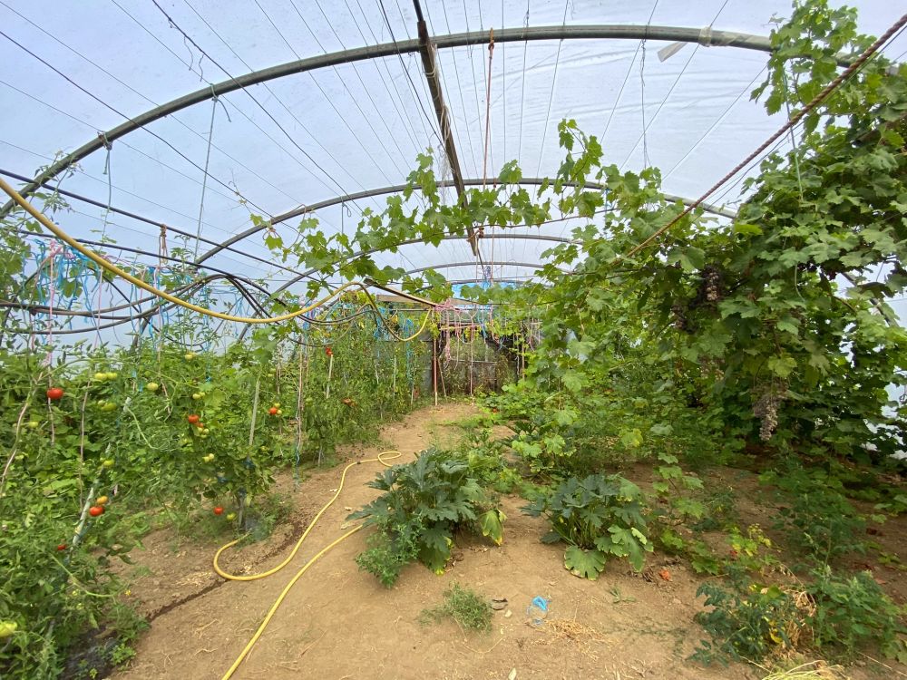 Photo 41 - Ploumilliau 22300 à Ploumilliau