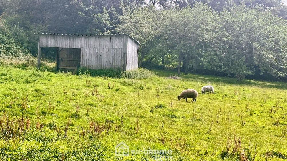 Photo 16 - Bricquebec-en-Cotentin 50260 à Bricquebec-en-Cotentin