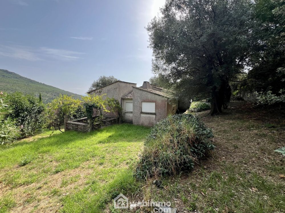 Photo 1 - Brando 20222 à Brando