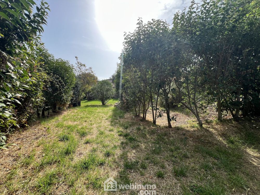 Photo 12 - Brando 20222 à Brando