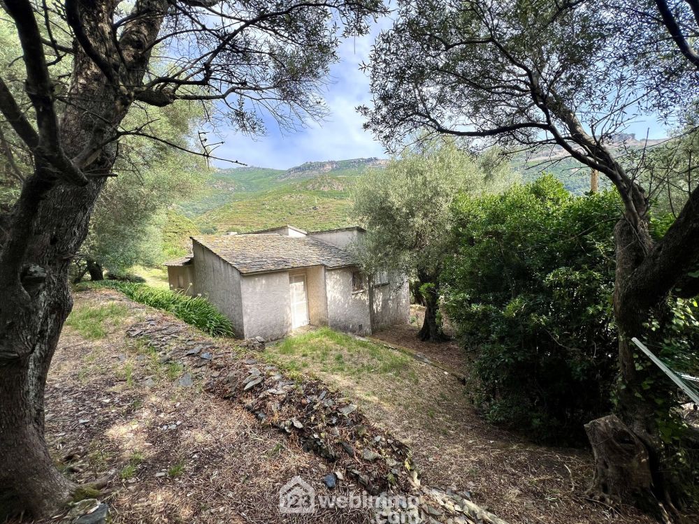 Photo 2 - Brando 20222 à Brando