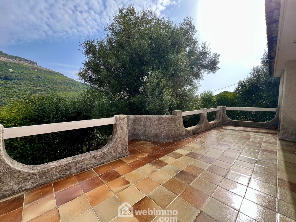 Photo 6 - Brando 20222 à Brando