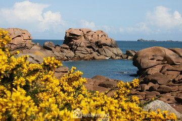 Photo 6 - Pleumeur-Bodou 22560 à Pleumeur-Bodou