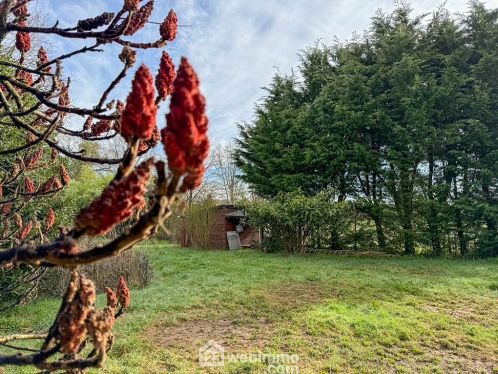 Photo 11 - Pouzauges 85700 à Pouzauges