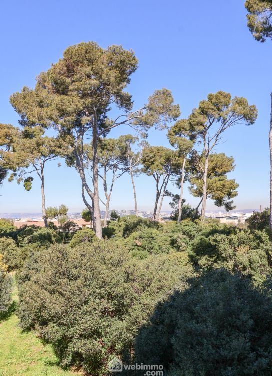 Photo 12 - Marseille 13009 à Marseille