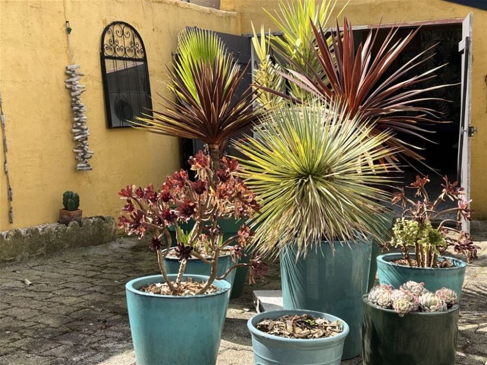 Photo 2 - Lannion 22300 à Lannion