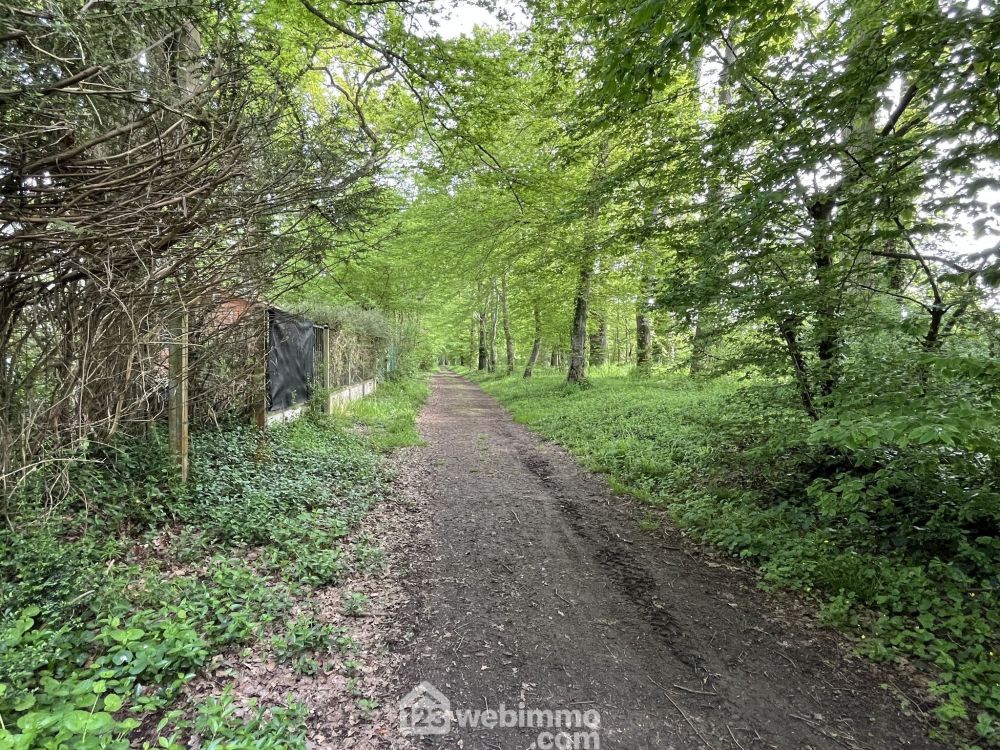 Photo 16 - Saint-Fargeau-Ponthierry 77310 à Saint-Fargeau-Ponthierry