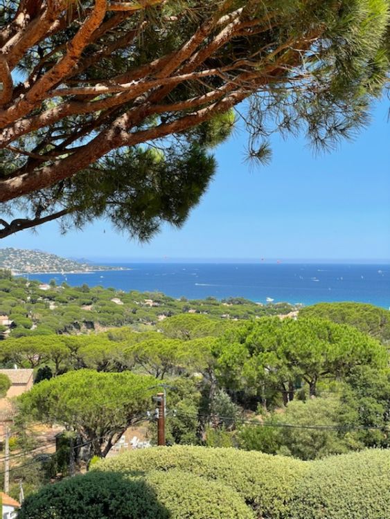 Photo 17 - Sainte-Maxime 83120 à Sainte-Maxime