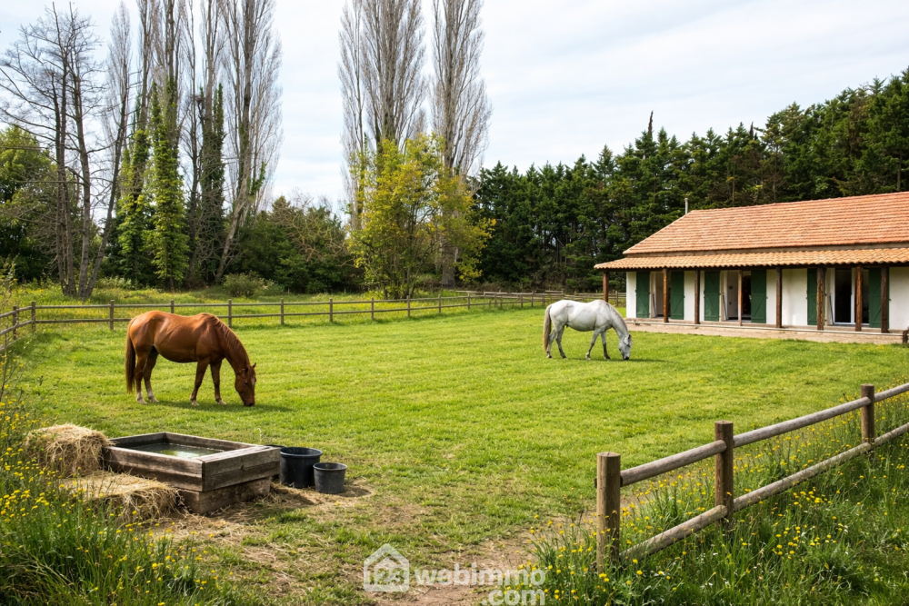 Photo 5 - arles 13200 à arles