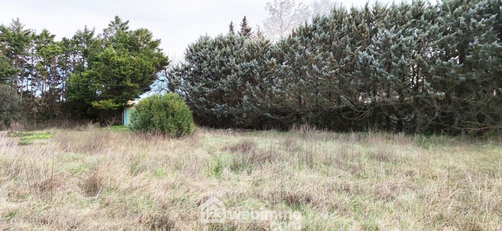 Photo 9 - arles 13200 à arles