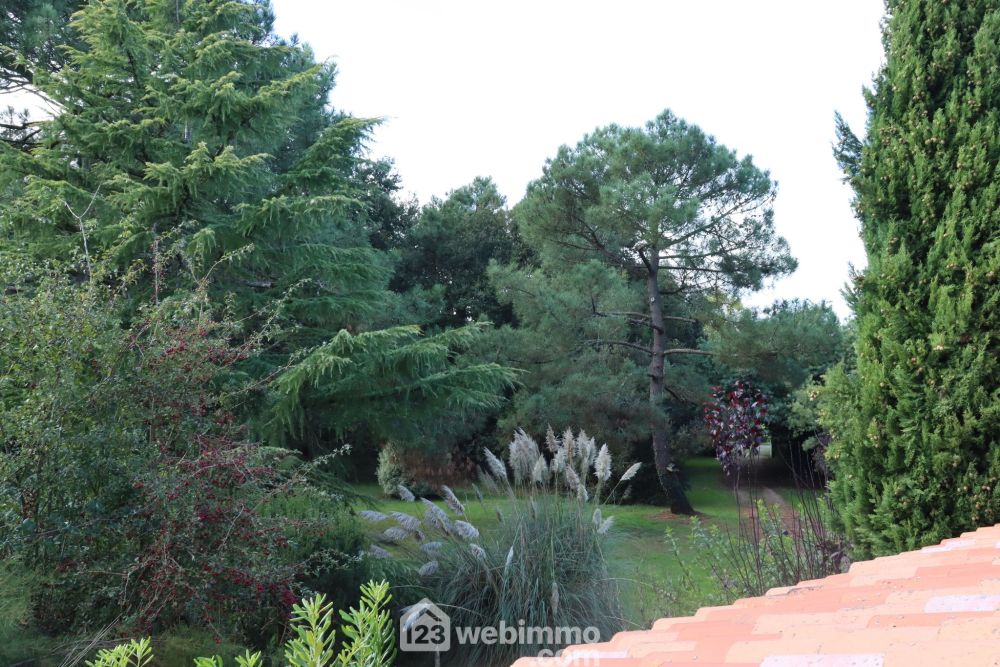 Photo 15 - Saint-Hilaire-la-Forêt 85440 à Saint-Hilaire-la-Forêt