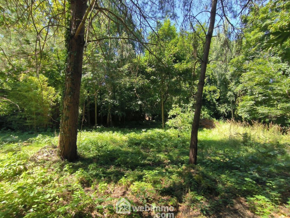 Photo 20 - VASSENY 02220 à VASSENY