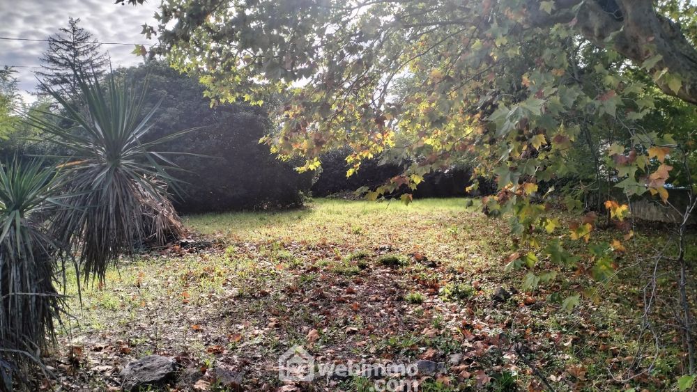 Photo 12 - LORGUES 83510 à LORGUES