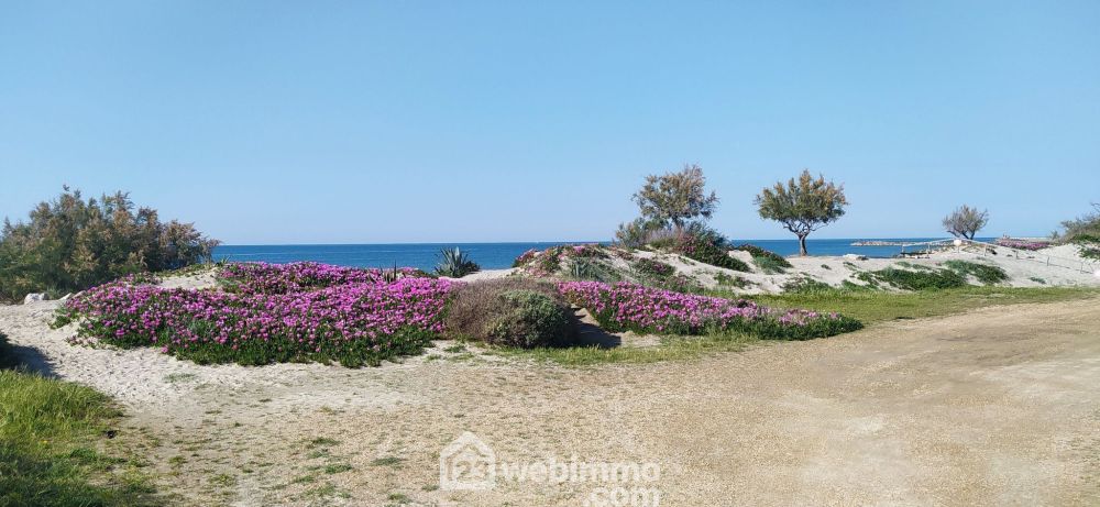 Photo 2 - Saintes-Maries-de-la-Mer 13460 à Saintes-Maries-de-la-Mer