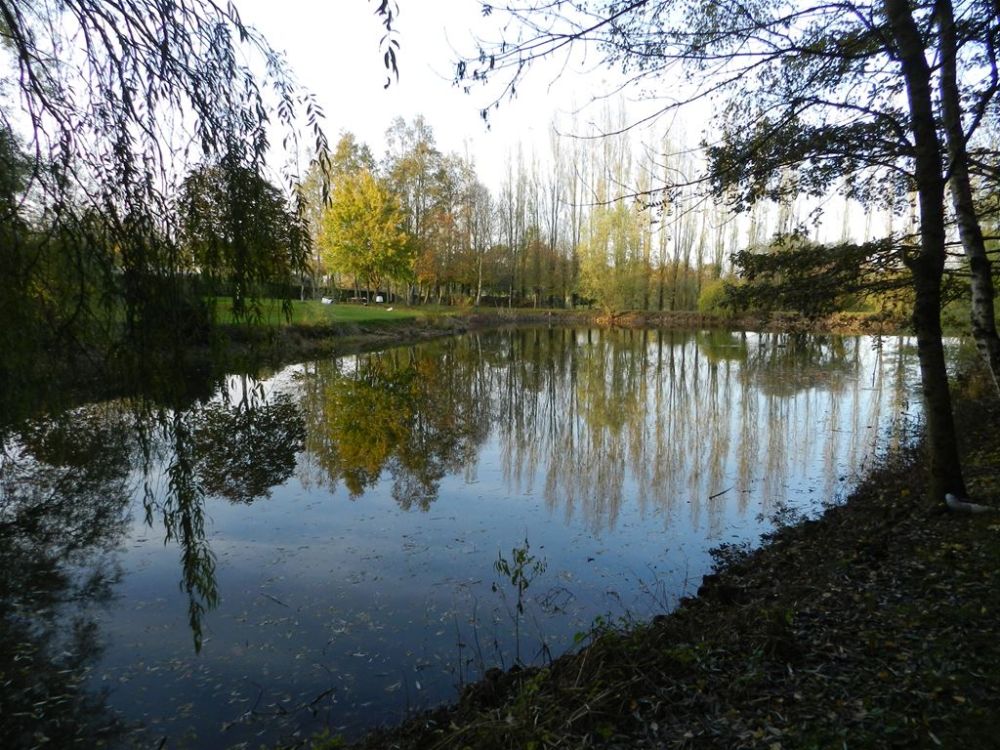 Photo 12 - Saint-Aubin-de-Baubigné 79700 à Saint-Aubin-de-Baubigné