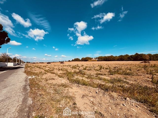 Photo 6 - Perpignan 66000 à Perpignan