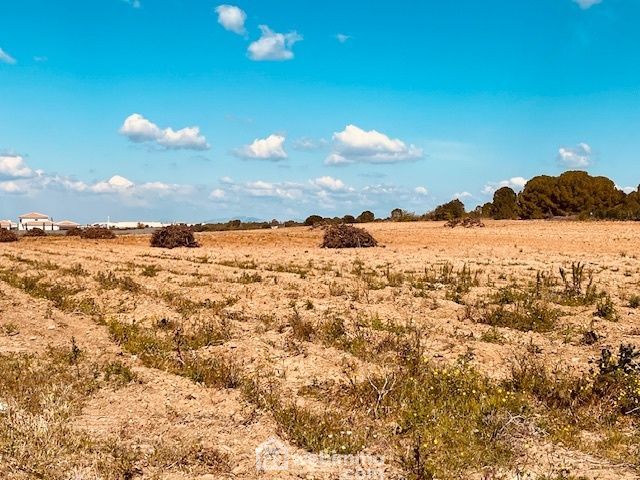 Photo 5 - Perpignan 66000 à Perpignan