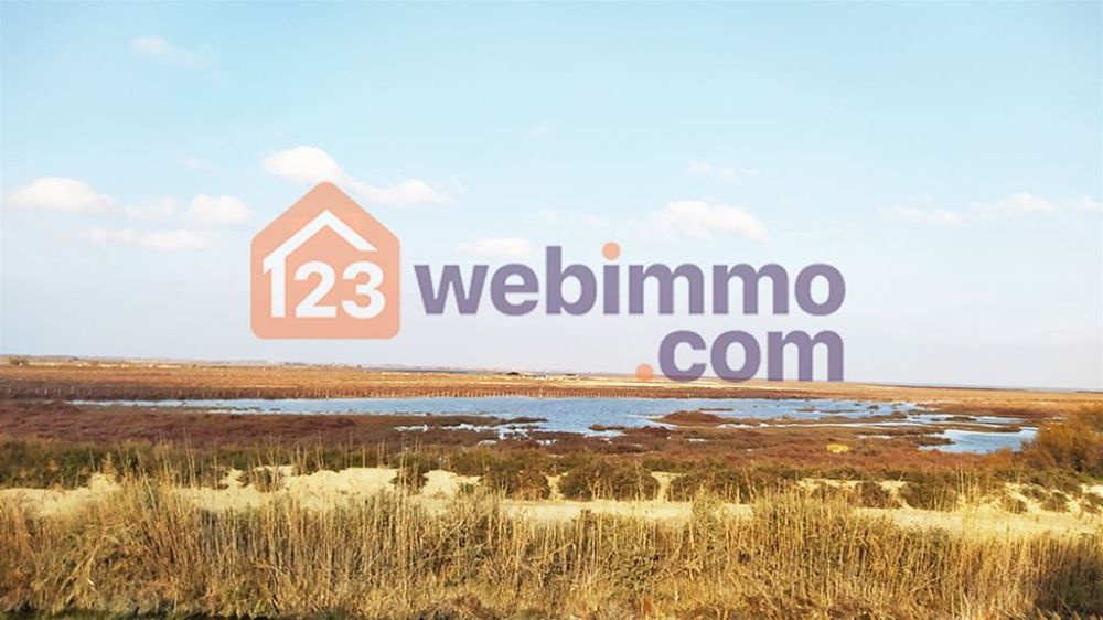 Photo 1 - Saintes-Maries-de-la-Mer 13460 à Saintes-Maries-de-la-Mer