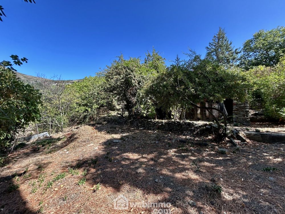 Photo 9 - Bigorno 20252 à Bigorno