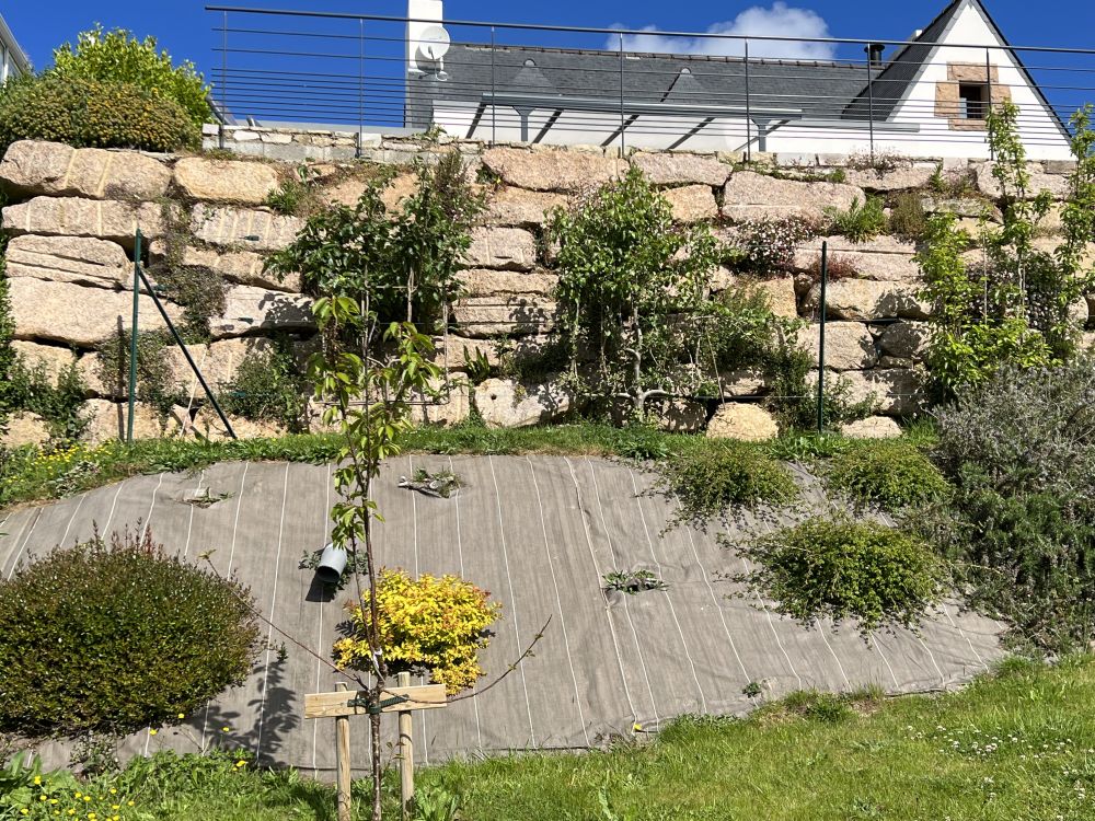 Photo 5 - Perros-Guirec 22700 à Perros-Guirec