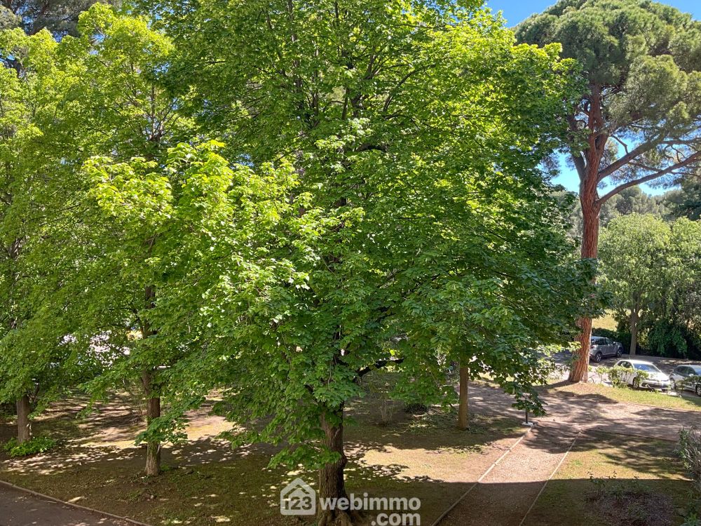 Photo 9 - Marseille 13009 à Marseille