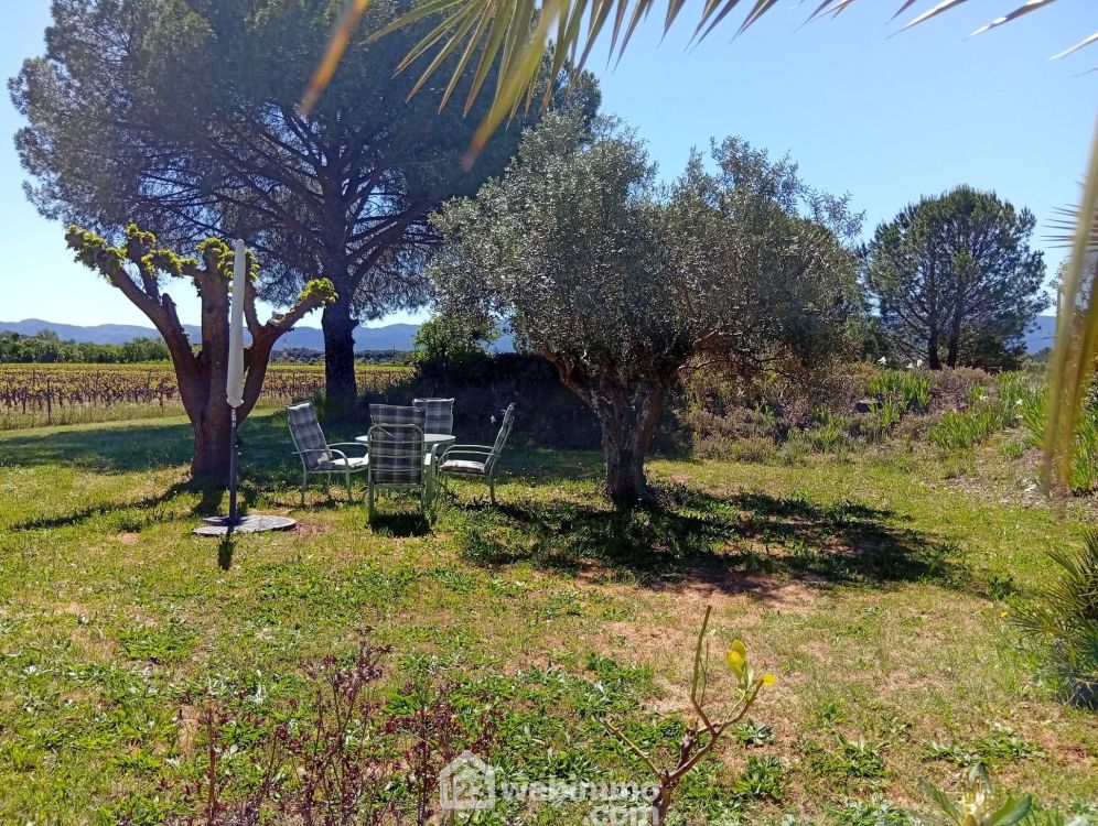 Photo 3 - LE CANNET DES MAURES 83340 à LE CANNET DES MAURES