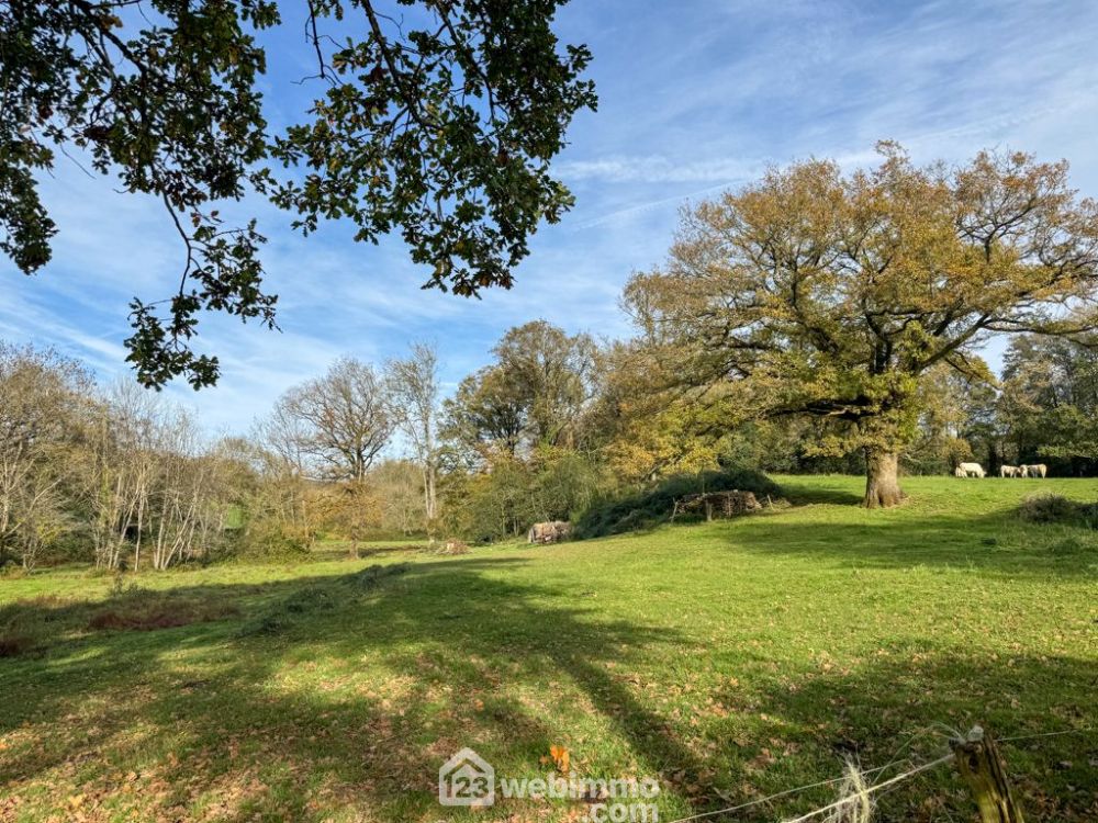 Photo 8 - Sèvremont 85700 à Sèvremont