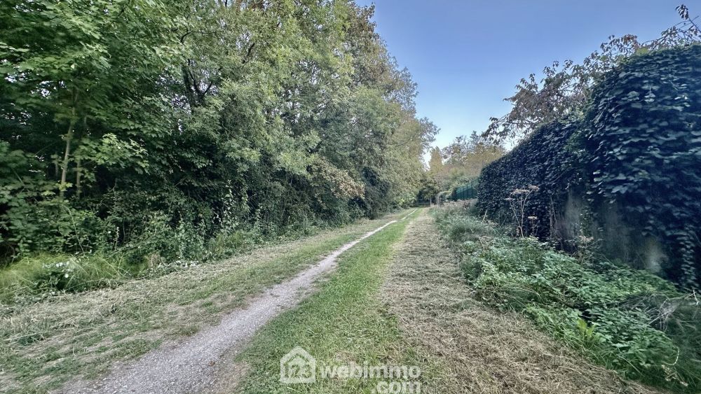 Photo 22 - Torcy 77200 à Torcy