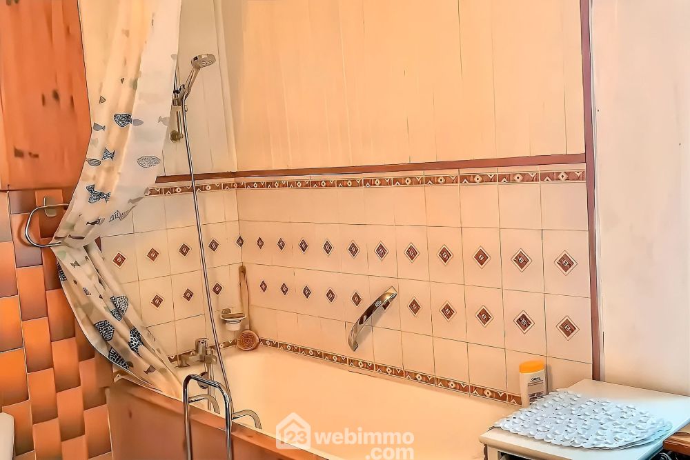 Photo 18 - Chalonnes-sur-Loire 49290 à Chalonnes-sur-Loire