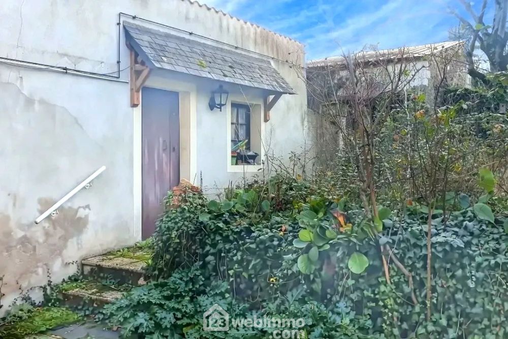 Photo 27 - Chalonnes-sur-Loire 49290 à Chalonnes-sur-Loire