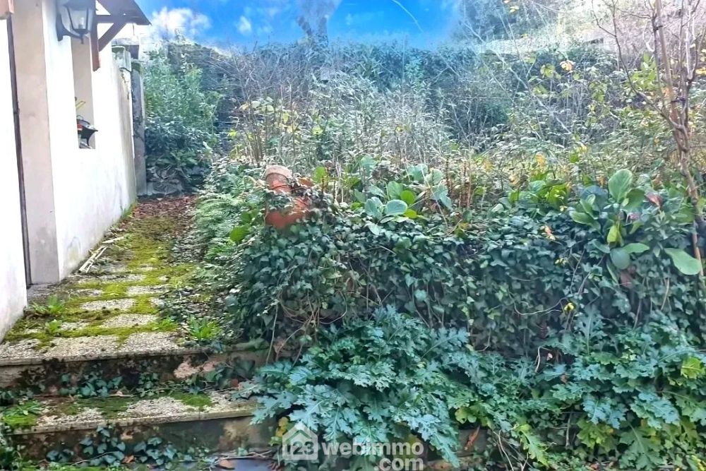 Photo 30 - Chalonnes-sur-Loire 49290 à Chalonnes-sur-Loire