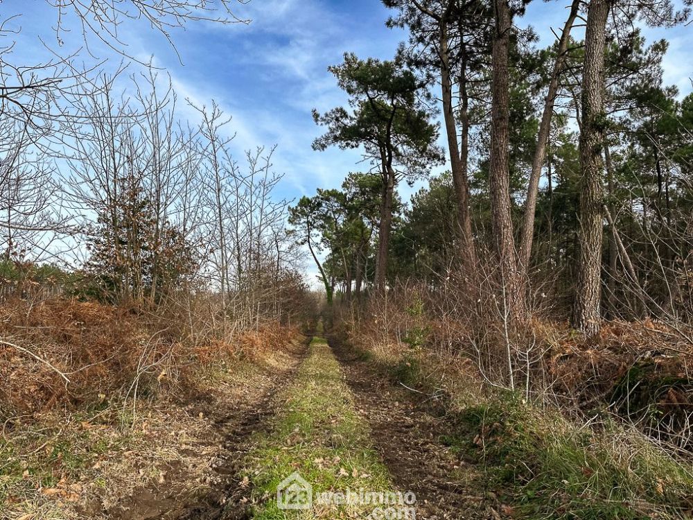 Photo 10 - Mazé-Milon 49630 à Mazé-Milon