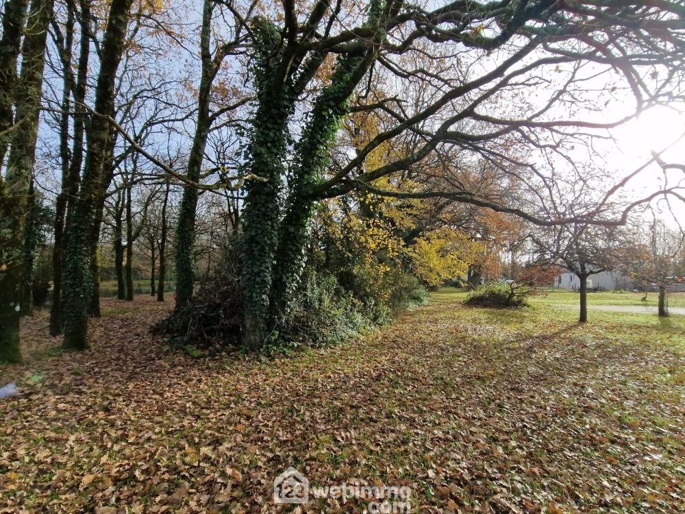 Photo 4 - Venansault 85190 à Venansault