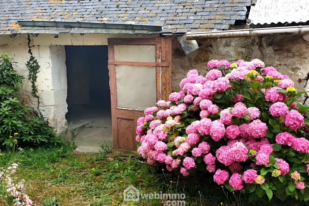 Photo 5 - Chalonnes-sur-Loire 49290 à Chalonnes-sur-Loire