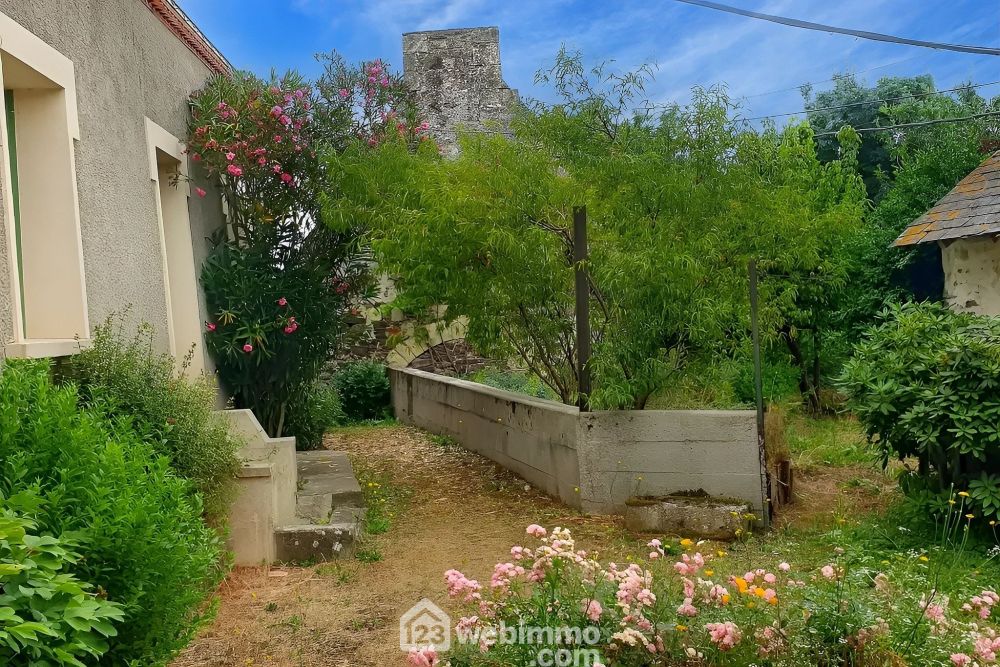 Photo 4 - Chalonnes-sur-Loire 49290 à Chalonnes-sur-Loire