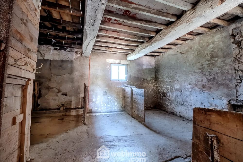 Photo 18 - Chalonnes-sur-Loire 49290 à Chalonnes-sur-Loire