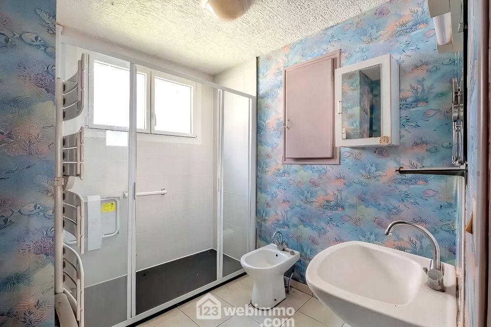 Photo 15 - Chalonnes-sur-Loire 49290 à Chalonnes-sur-Loire