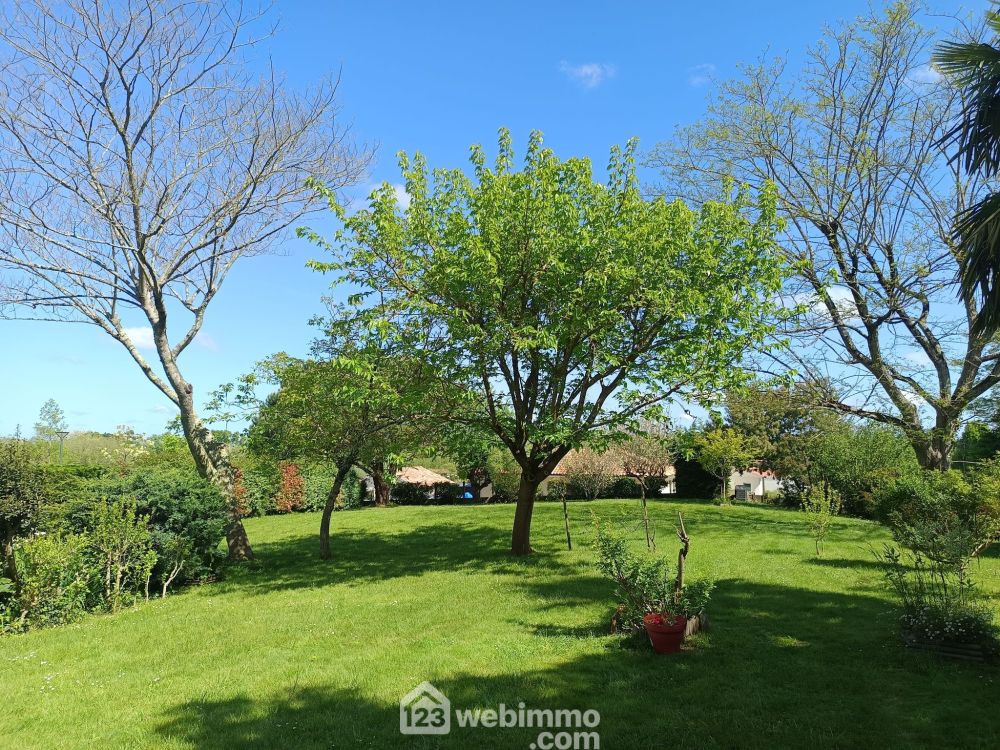 Photo 26 - Belus 40300 à Belus