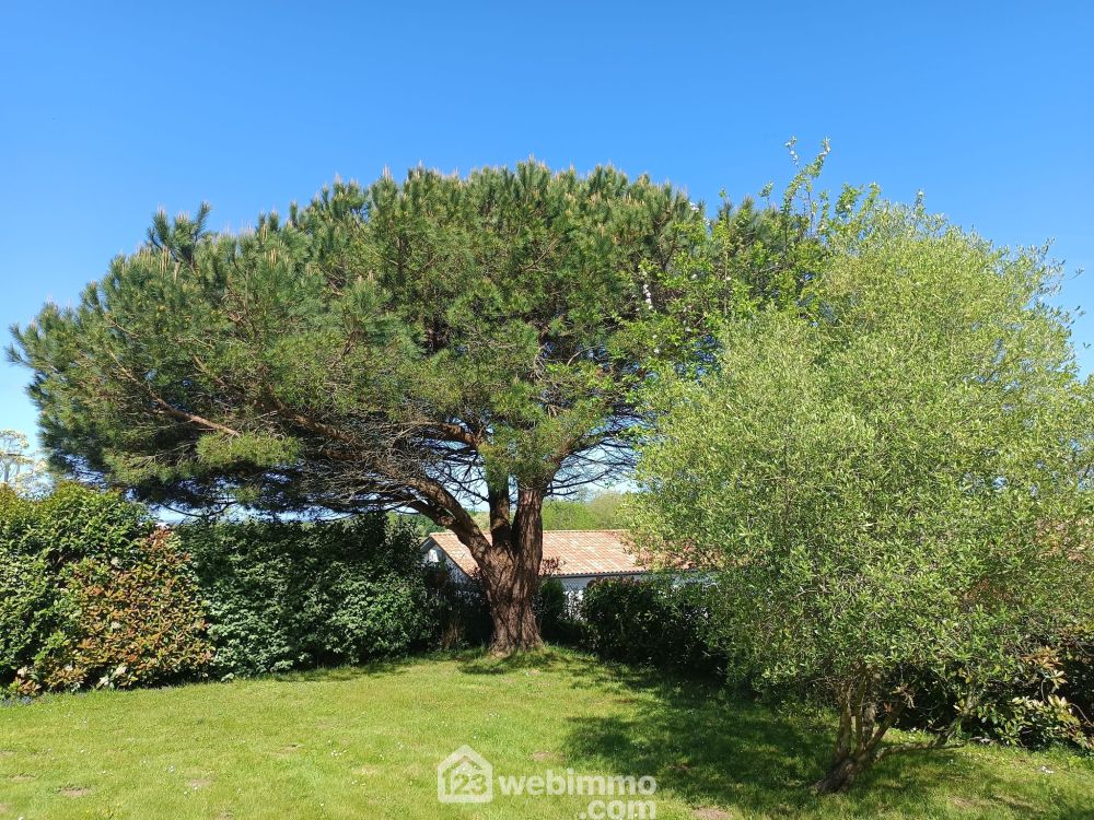 Photo 28 - Belus 40300 à Belus