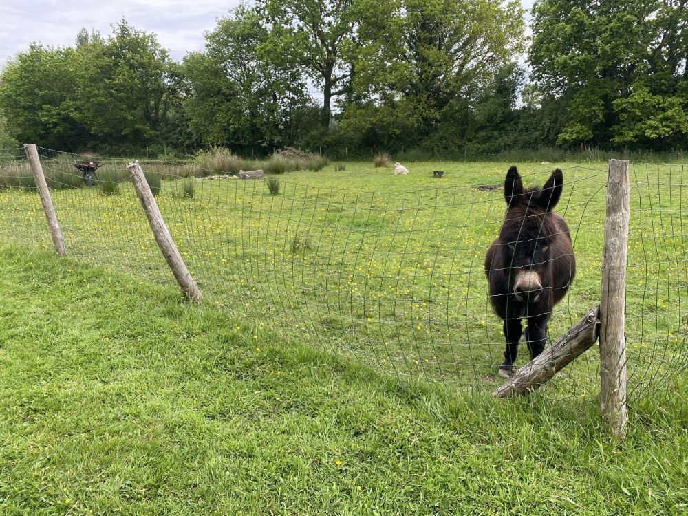 Photo 3 - quessoy 22120 à quessoy