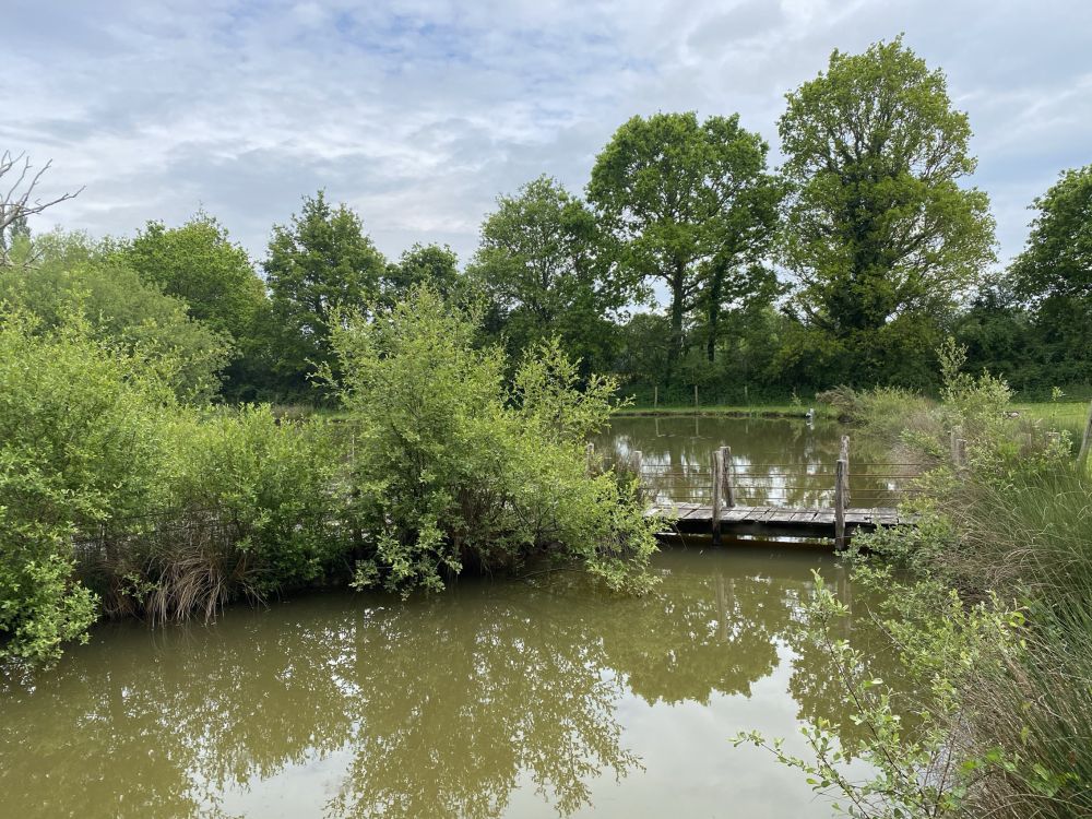 Photo 4 - quessoy 22120 à quessoy