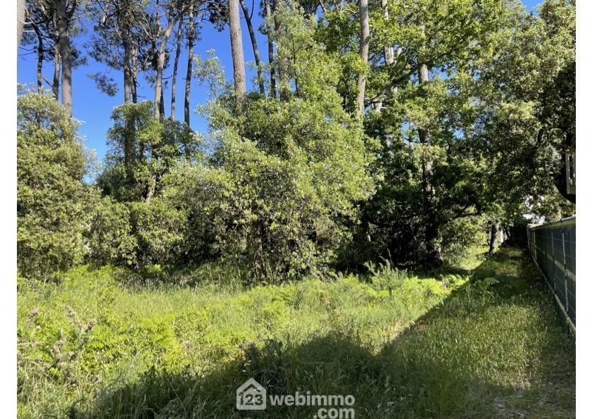 Photo 1 - Jard-sur-Mer 85520 à Jard-sur-Mer