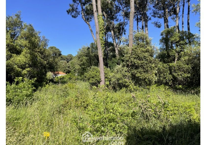 Photo 3 - Jard-sur-Mer 85520 à Jard-sur-Mer