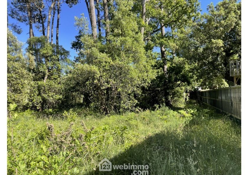 Photo 4 - Jard-sur-Mer 85520 à Jard-sur-Mer