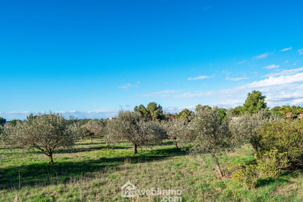 Photo 6 - Agde 34300 à Agde