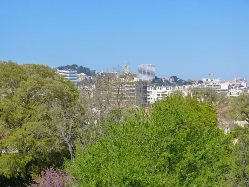 Photo 11 - Marseille 8 13008 à Marseille 8