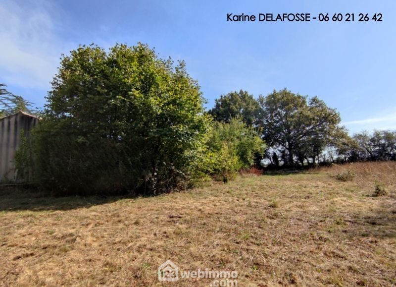 Photo 15 - Saint-Mathurin 85150 à Saint-Mathurin