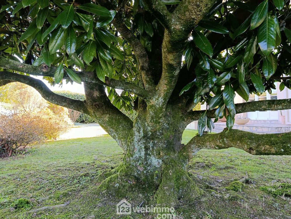 Photo 26 - Hagetmau 40700 à Hagetmau